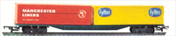 Freightliner Wagon - 2 30ft Containers - Fyffes & Manchester Lines