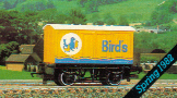Birds Van