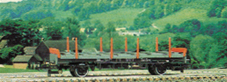 45 Ton Steel Carrier (SAA)