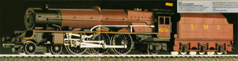 Princess Royal Class Locomotive - Princess Elizabeth