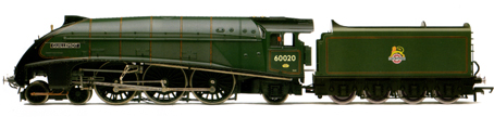 Class A4 Locomotive - Guillemot