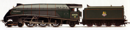 Class A4 Locomotive - Guillemot